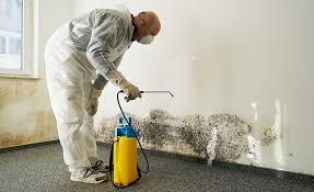 Mold Remediation for Vacation Homes in Fort Drum, NY