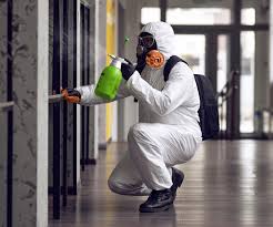 Fort Drum, NY Mold Prevention & Removal  Company